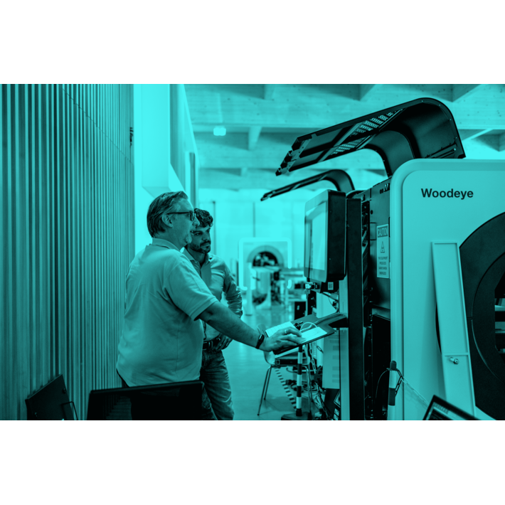 (Process Consulting)