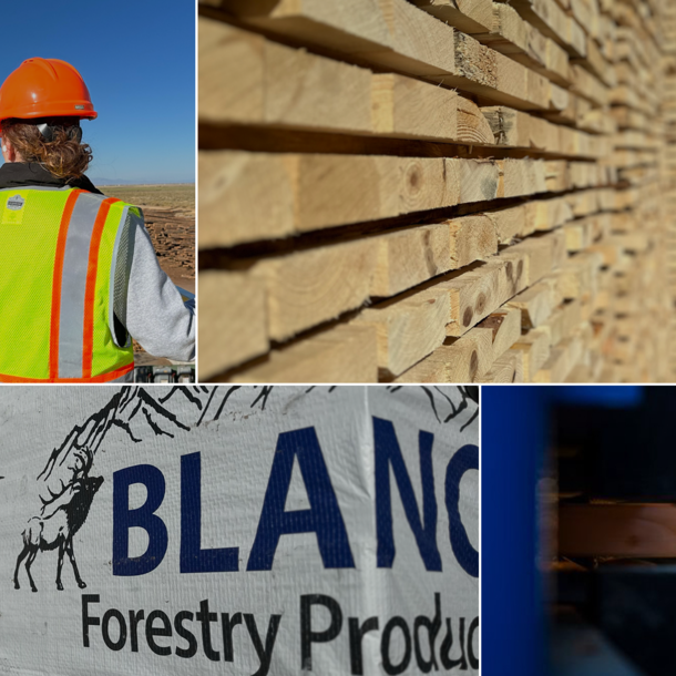 Lucidyne: Innovating Mill Operations for Blanca Forestry Products
