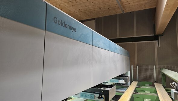 Goldeneye Transverse: Unabhängig von Tageszeit und Stimmungslage