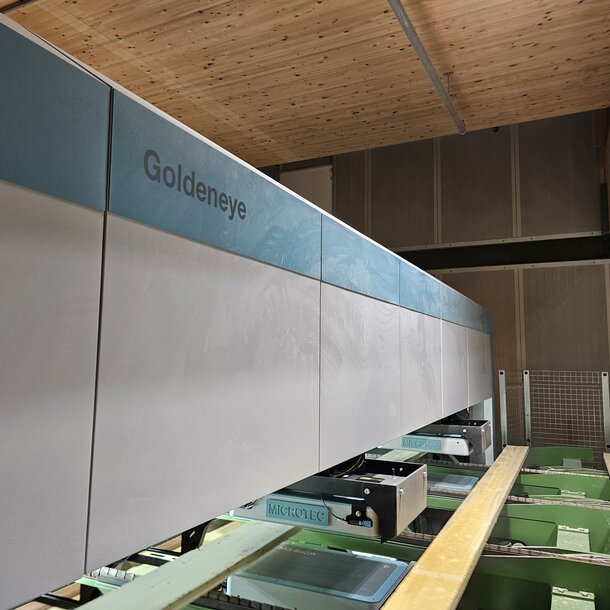 Goldeneye Transverse: Regardless of the time of day and mood