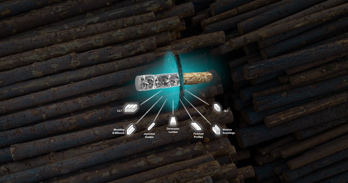 MiCROTEC - Early Log Scanning & Sorting for Canada's Sawmills