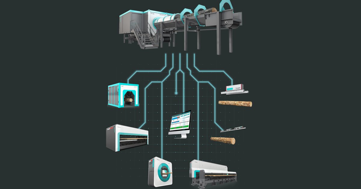 MiCROTEC - With CT, X-ray and AI, sawmills can see inside the wood ...