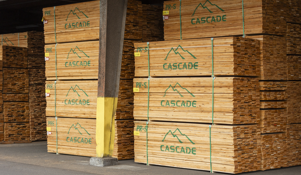 Jon Syre, President of Cascade Hardwoods Jon Syre, President of Cascade Hardwoods