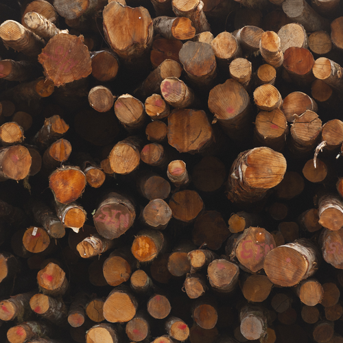 CT Log | Hardwood CT Log | Hardwood