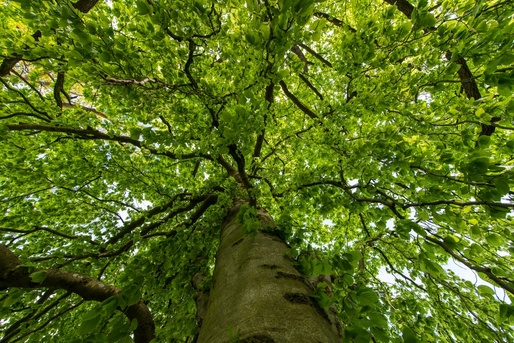 Sustainability Improvements & Incentives Sustainability Improvements & Incentives