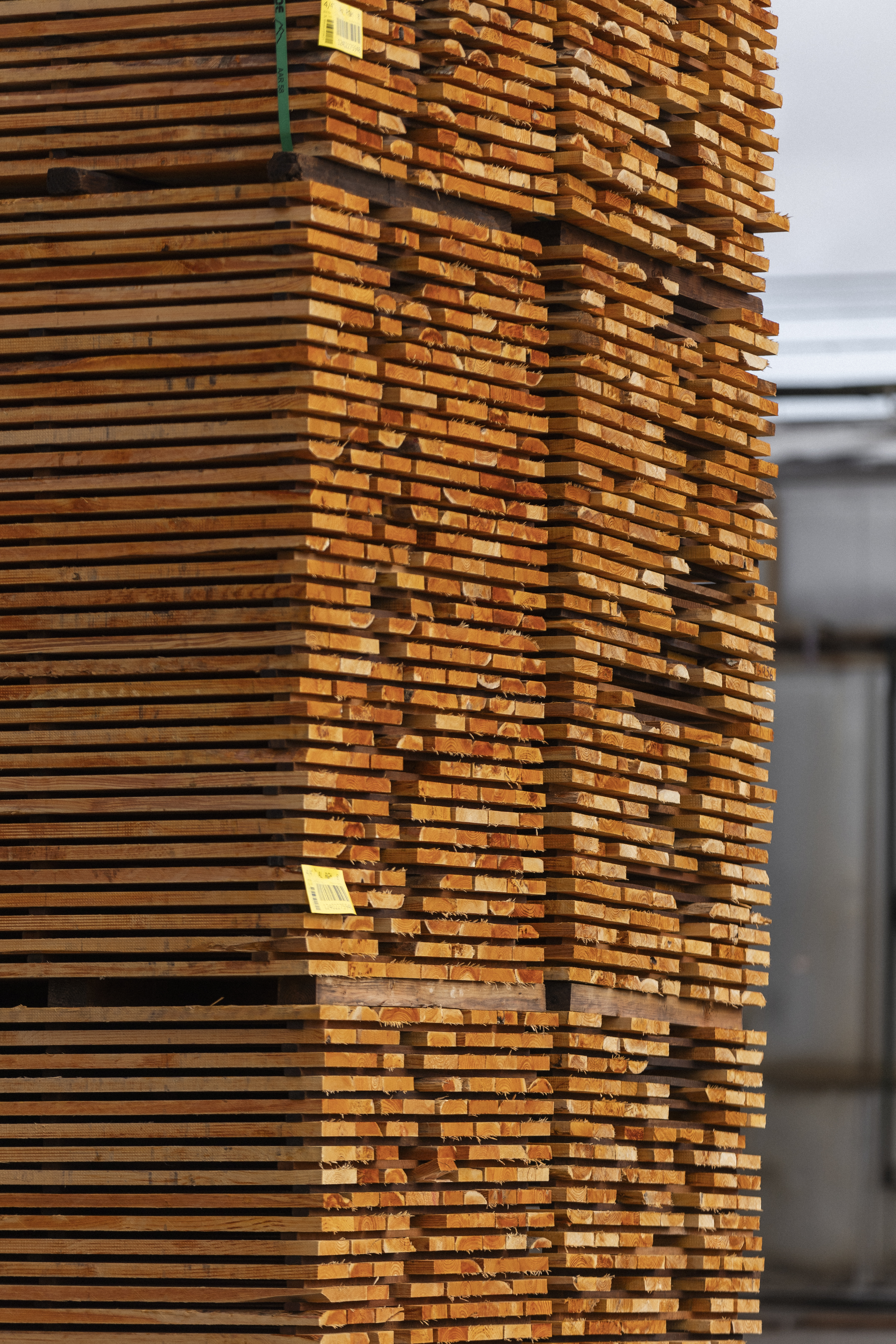 Log Sorting and Cost Log Sorting and Cost