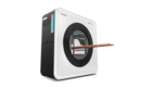 Woodeye
