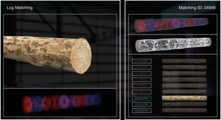 Corrispondenza dei tronchi