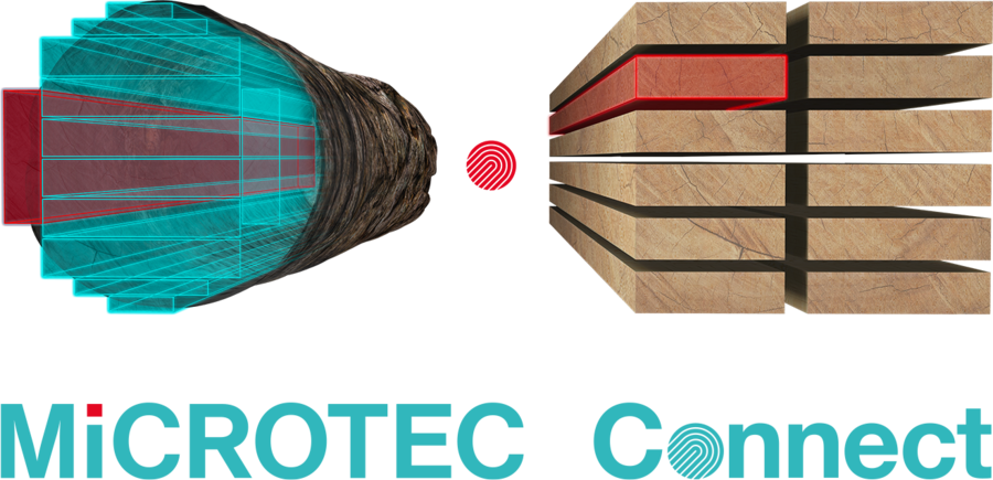 MiCROTEC - Logeye