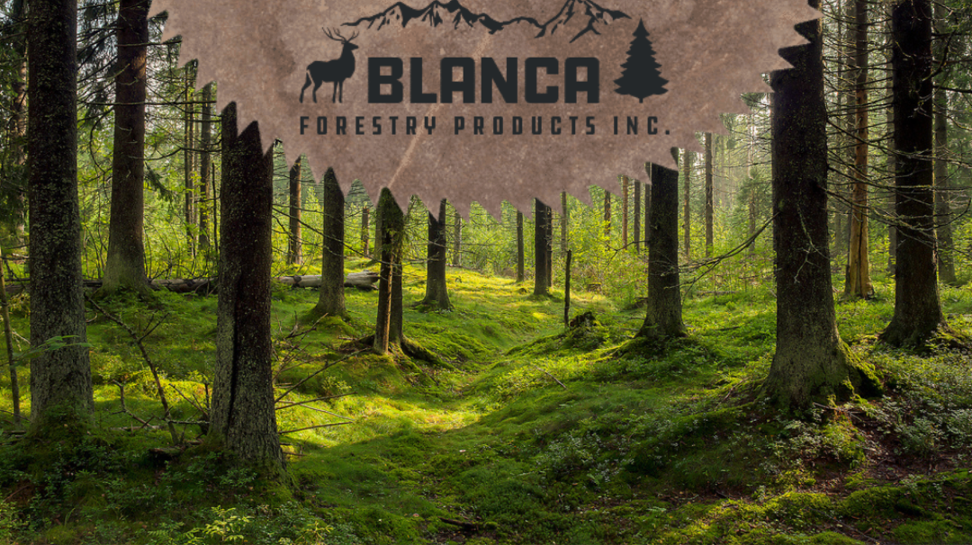 Lucidyne Scanner & Grade-VU Projector System: Blanca Forestry Products – MiCROTEC Stands Out