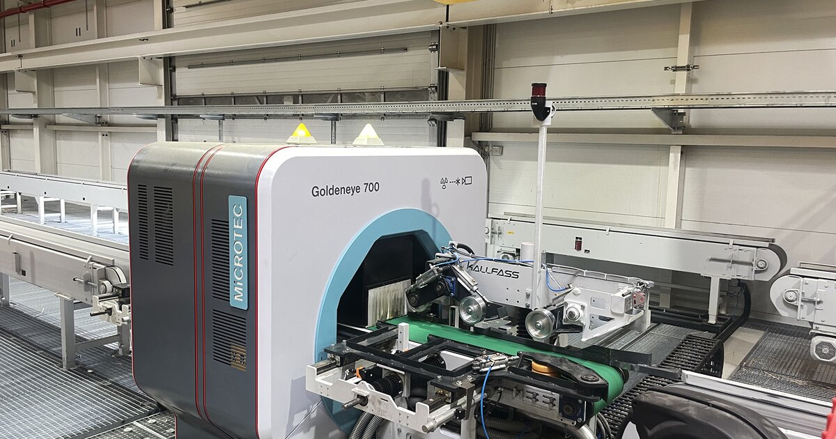 MiCROTEC - Goldeneye: Scannen im Doppelpack