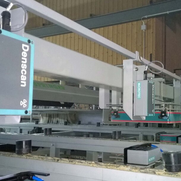 Despond sawmill grades with Viscan Plus