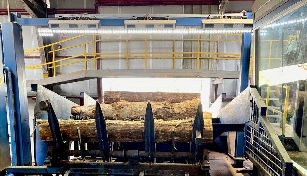 Logeye Stereo: 6% increase in yield at Maderas García Hermanos