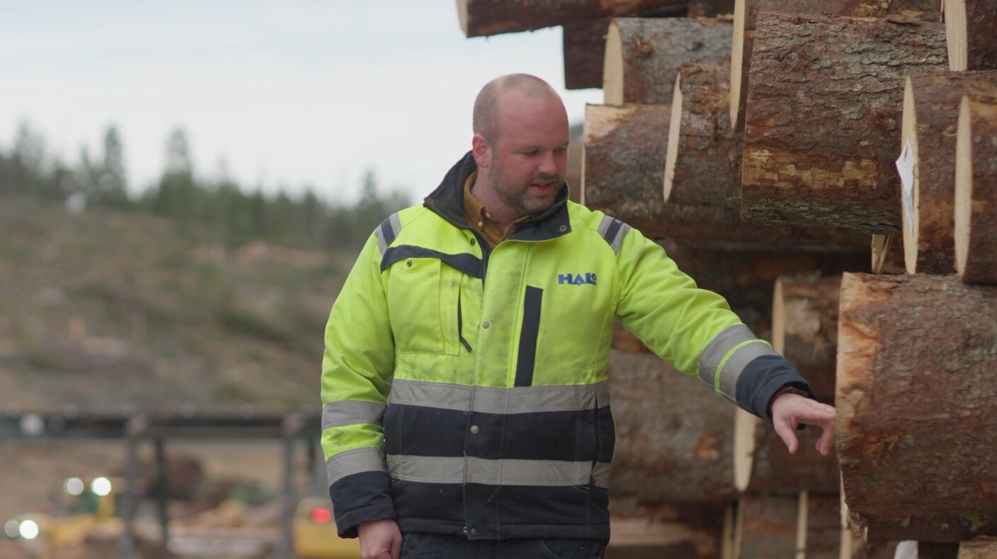 Logeye: Hilmer Andersson