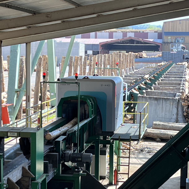 Logeye: L'innovation durable chez Lemaire