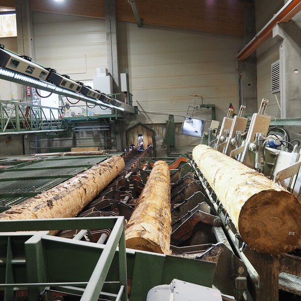 Logeye Stereo: La misurazione dell'intero contorno ottimizza il taglio Logeye Stereo: La misurazione dell'intero contorno ottimizza il taglio
