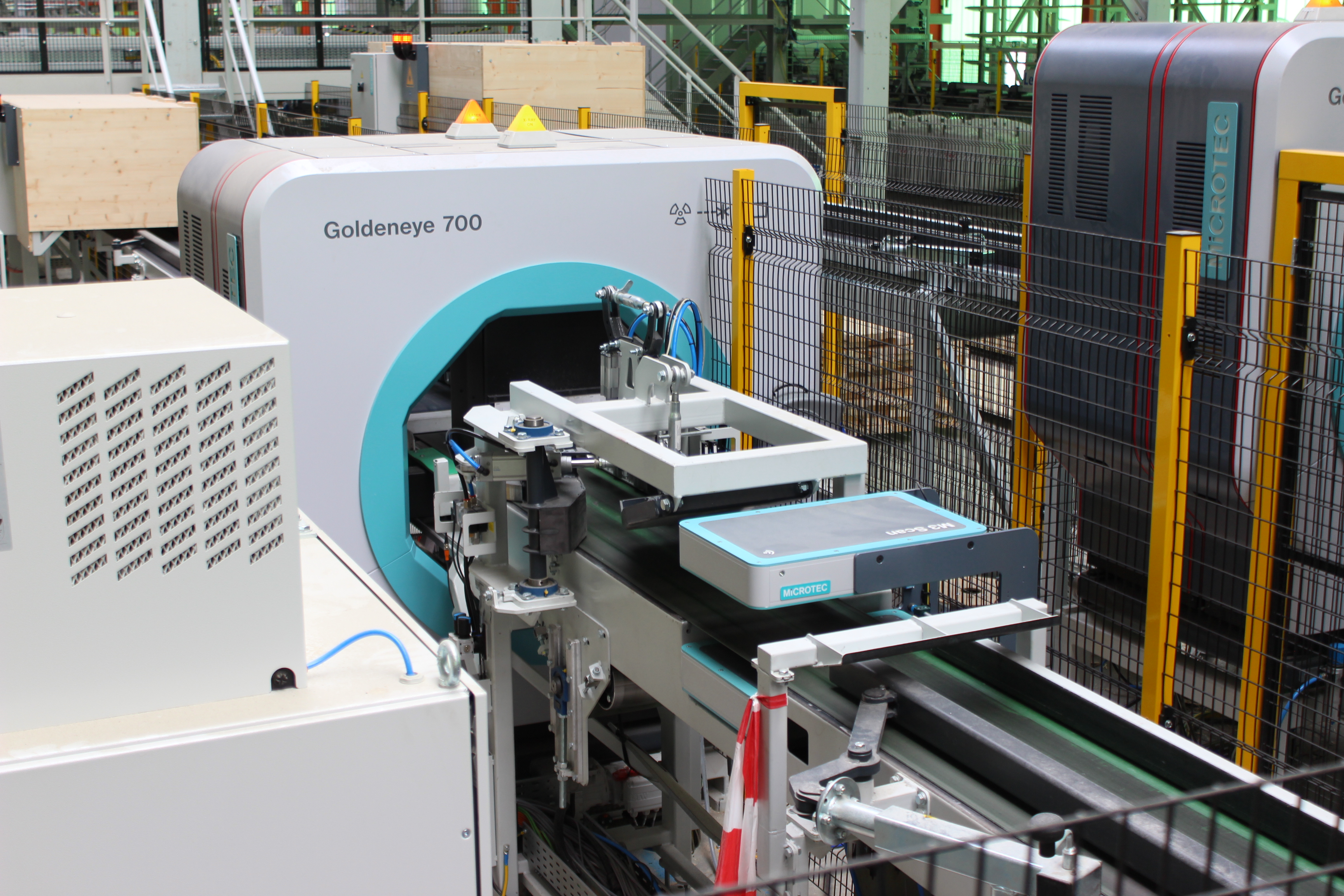 Goldeneye im Doppelpack