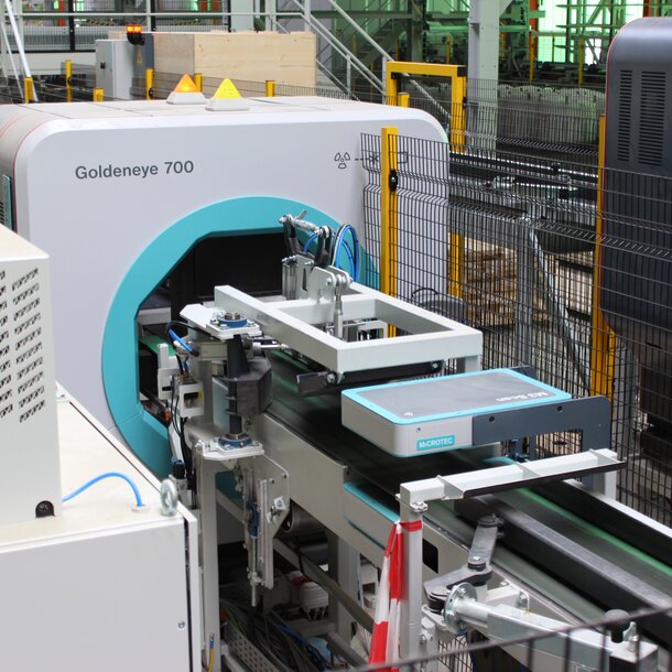 Twin Pack of Goldeneye Twin Pack of Goldeneye