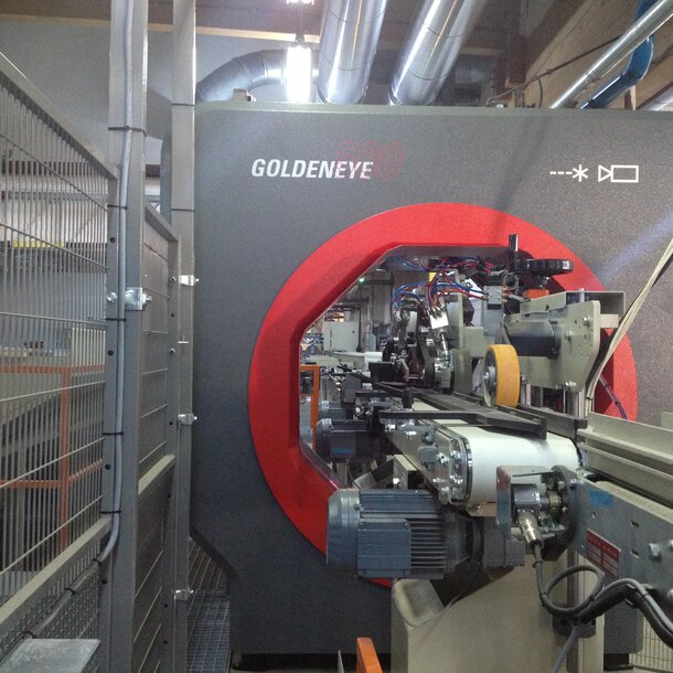 First Goldeneye in Romania