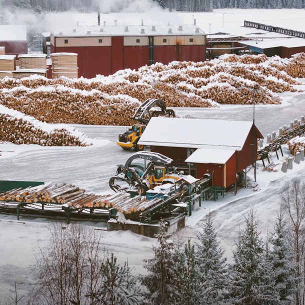 Onnistunut kuorenalus mittaus Karl Segerströmin Logeyella