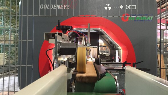 Yoshida: First Goldeneye in Japan Yoshida: First Goldeneye in Japan