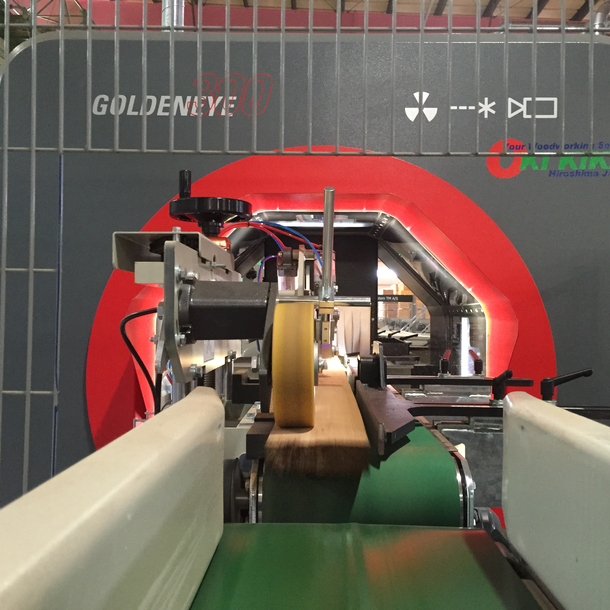 Yoshida: First Goldeneye in Japan