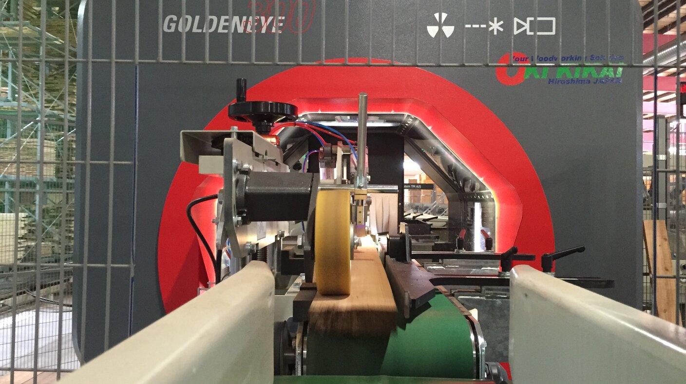 Yoshida: First Goldeneye in Japan Yoshida: First Goldeneye in Japan