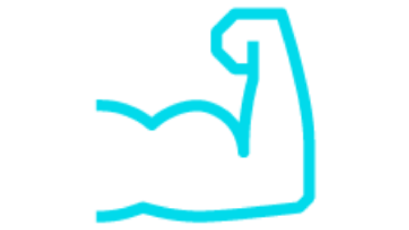 Festigkeitssortierung