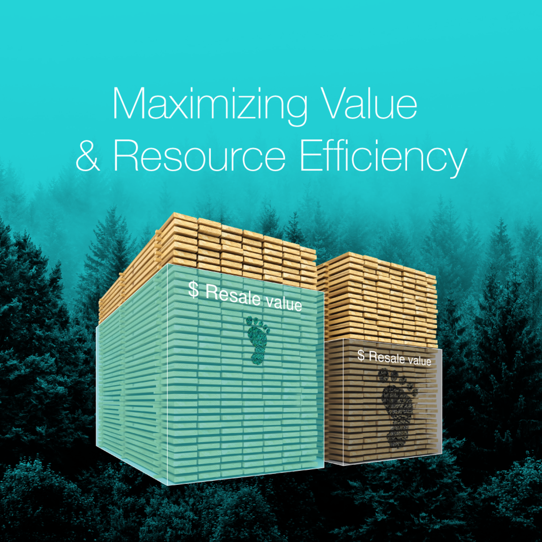 MiCROTEC - Innovating Wood