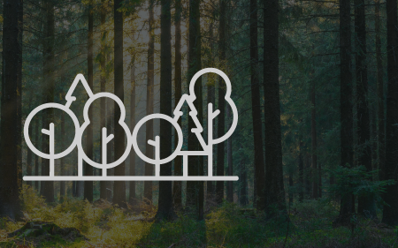 300,000 kg of CO₂*