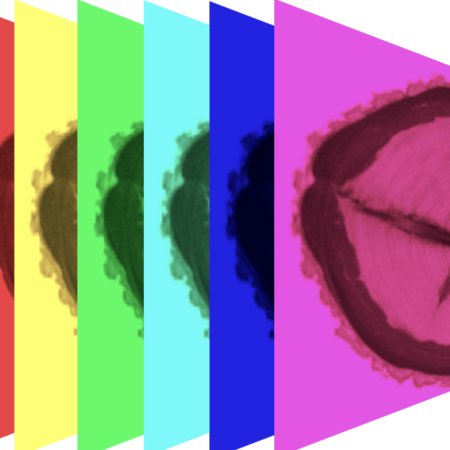 Hyperspektraalinen kuvantaminen