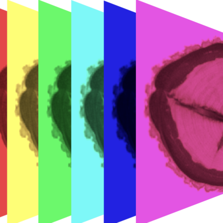 Hyperspectral Imaging