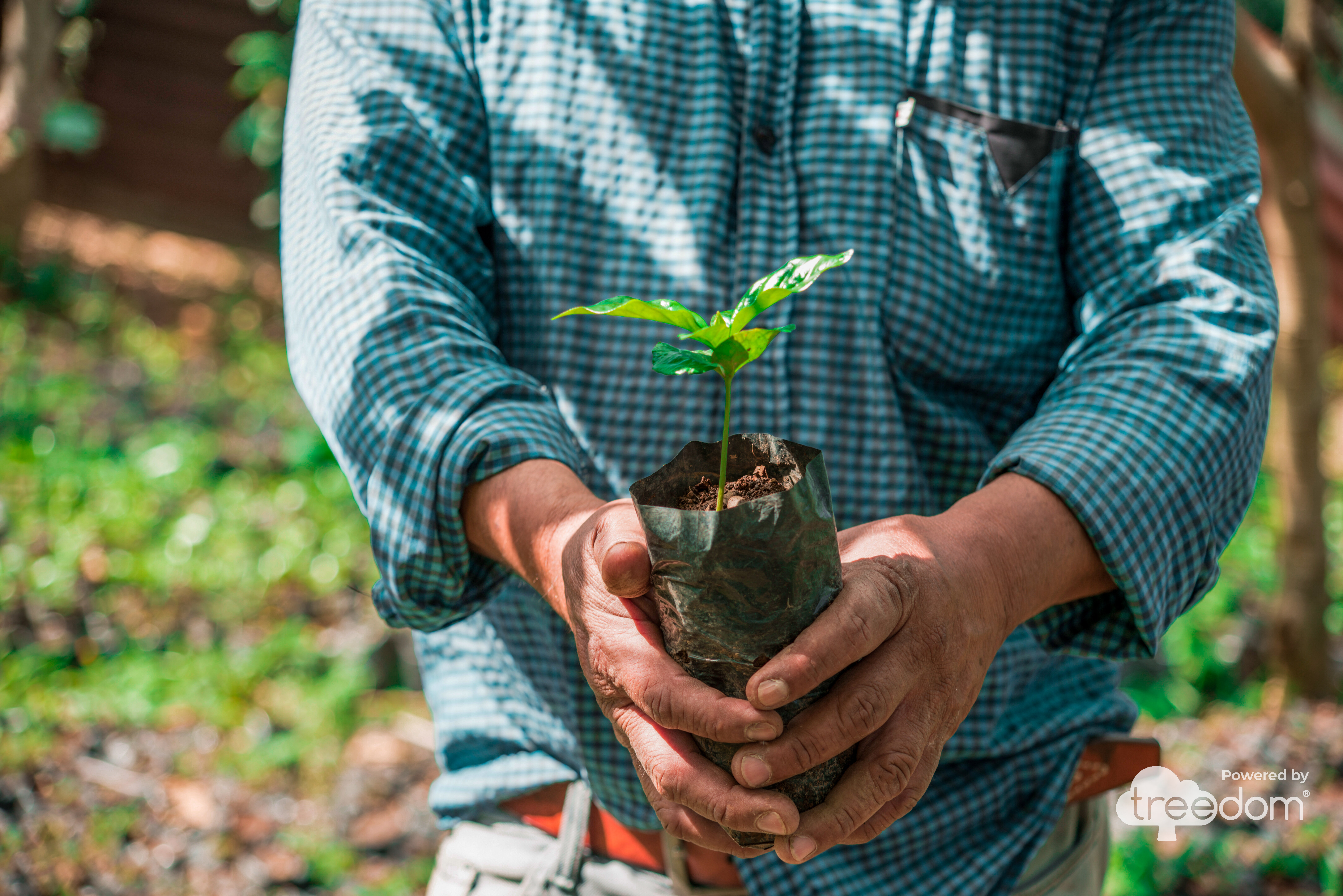 Grow with Us: Planting the Future